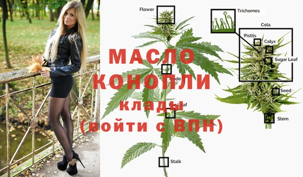 spice Новозыбков