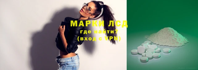 spice Новозыбков