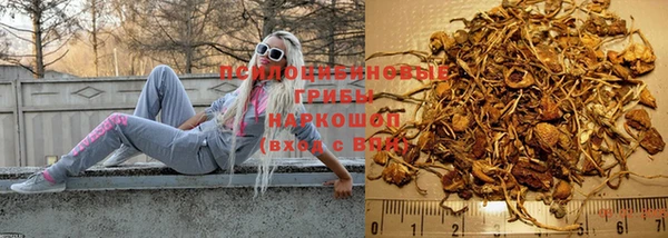 spice Новозыбков