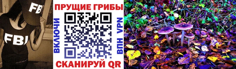 Галлюциногенные грибы мицелий  Крымск 